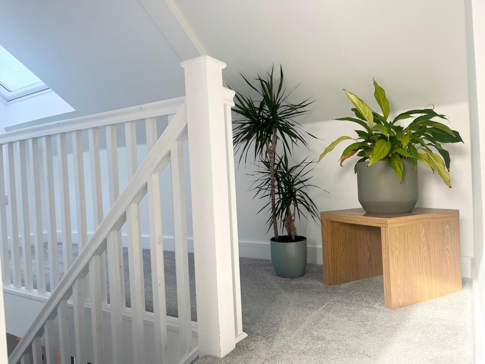 דירות Stunning Penthouse In Penzance "Amazing Sea Views" מראה חיצוני תמונה